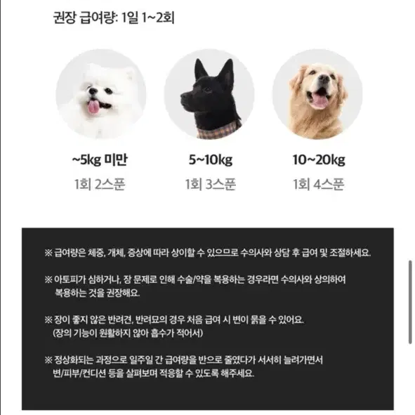 강아지 유산균