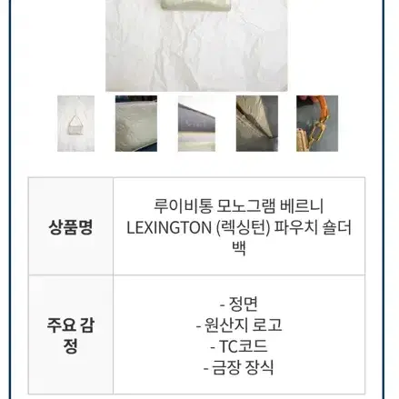 Louis Vuitton 베르니 렉싱턴 미니백