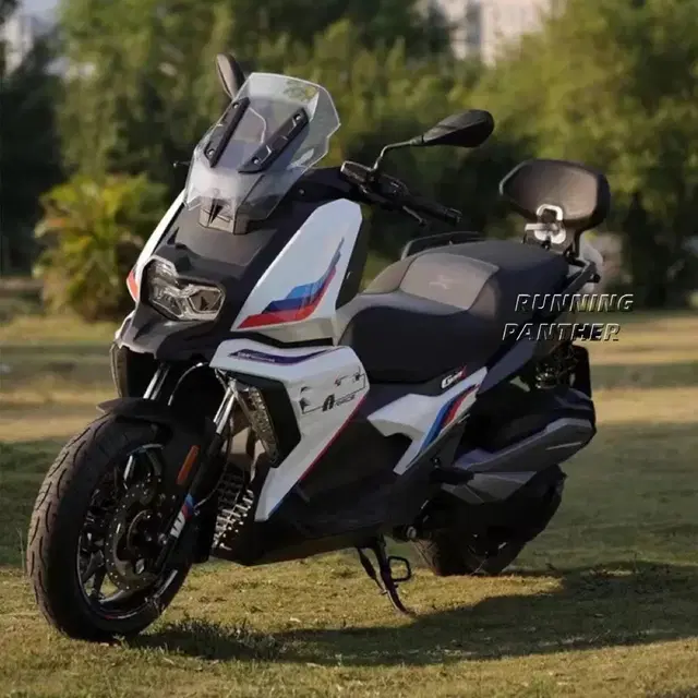 BMW C400GT / X 리어등받이