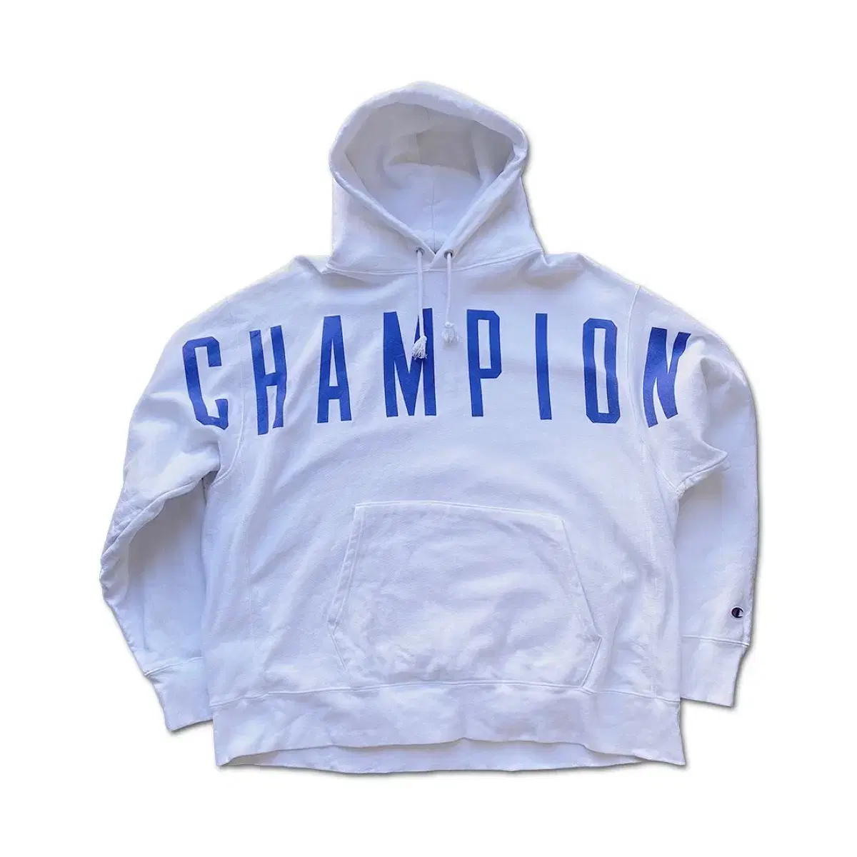 Champion Reverse Weave Spellout Hood