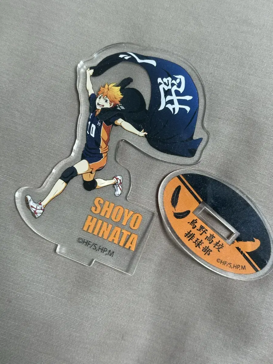 Haikyuu hinata banner acrylic