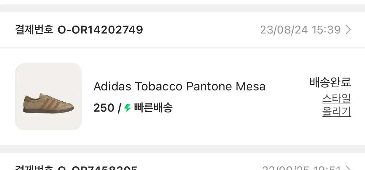 adidas Tobacco Fenton Mesa 250