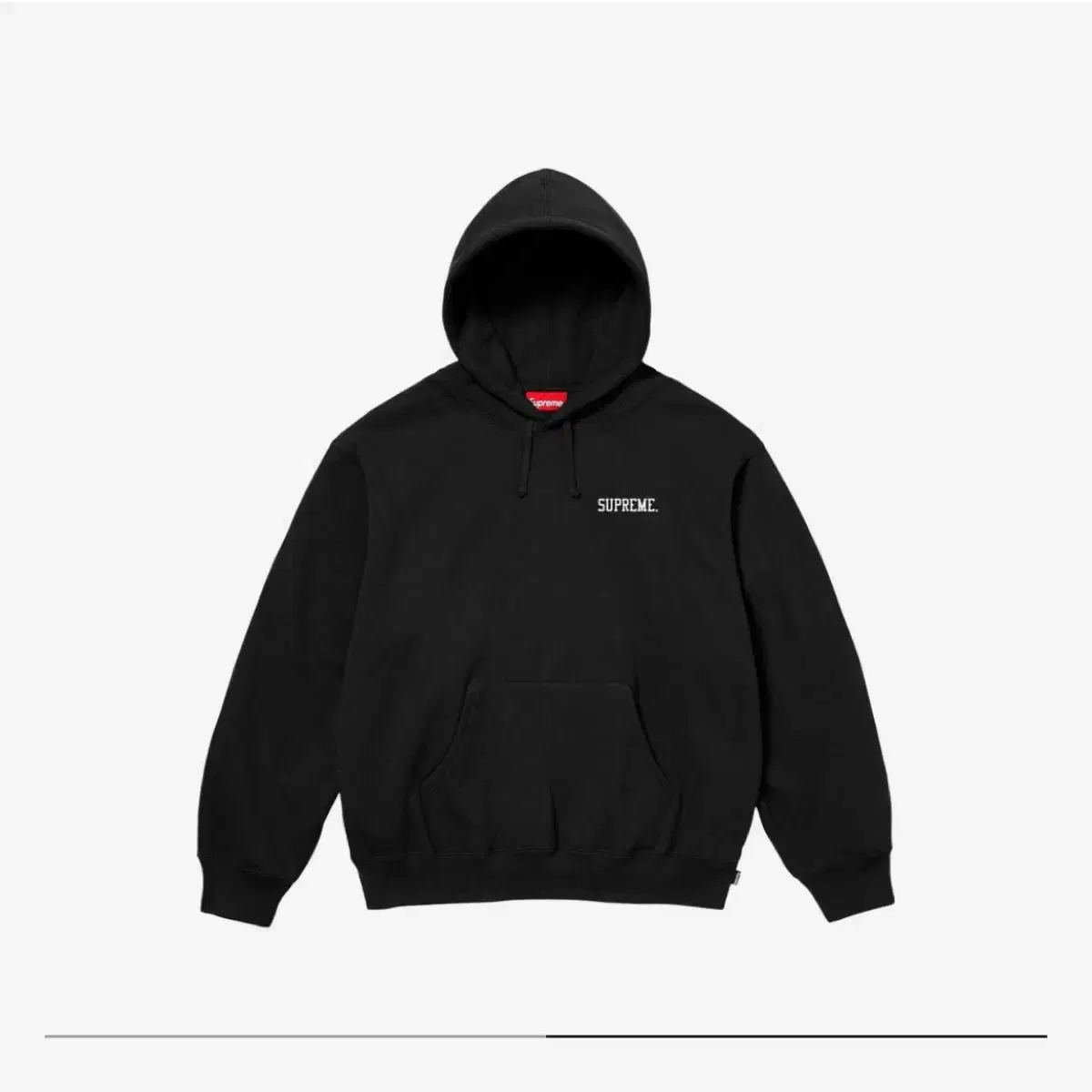 새상품 슈프림 후드티 Supreme anarchy hoodie xl