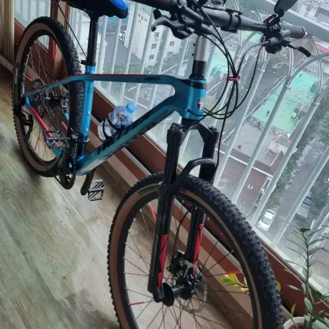 카본mtb