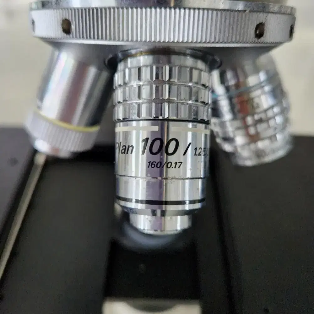 NIKON OPTIPHOT2-POL Microscope 현미경