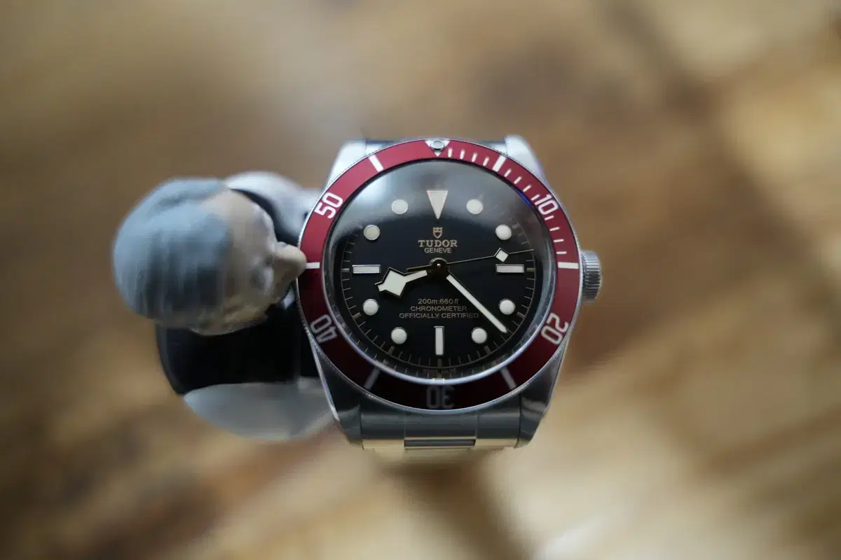 Tudor BullackBae Vigandi