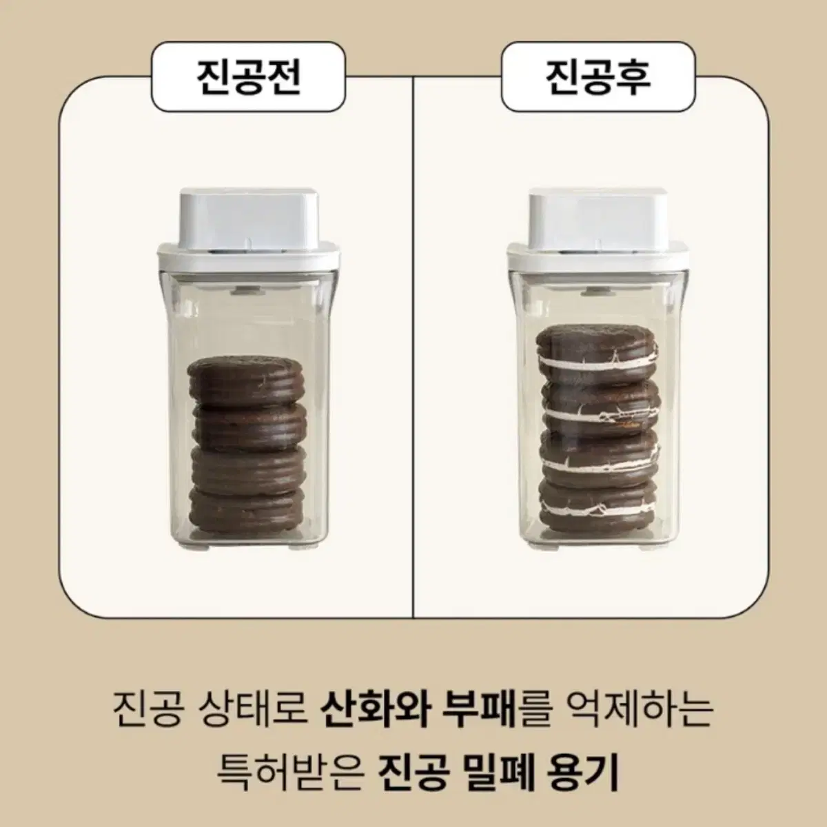 바퀜 2개 웜컬러