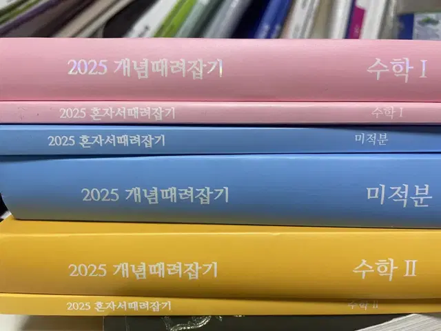 2025 정승제 개때잡 혼때잡