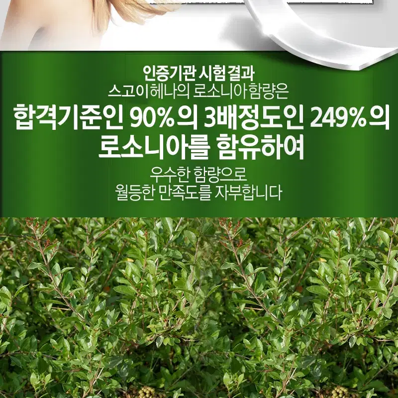 택포3천원 100% 천연 헤나 잎 가루 염색 100g 내추럴브라운