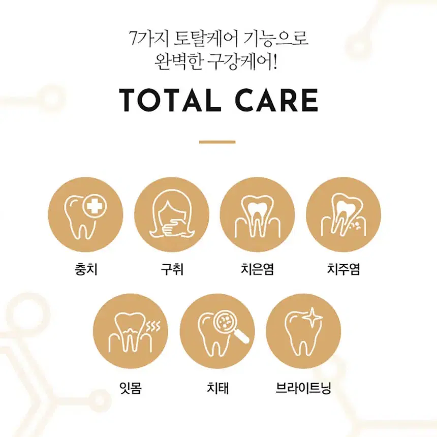 택포2천 솔트 살라리움 치약 시브리즈 민트치약 110g