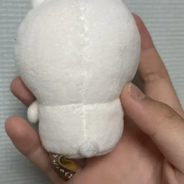 앉은 농담곰 8cm