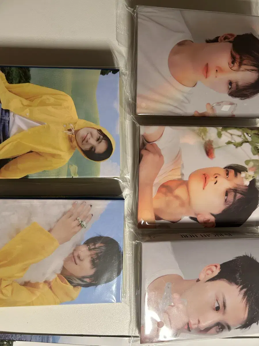 Woozi the8 mingyu joshua seungkwan Caratbahn Collectbook