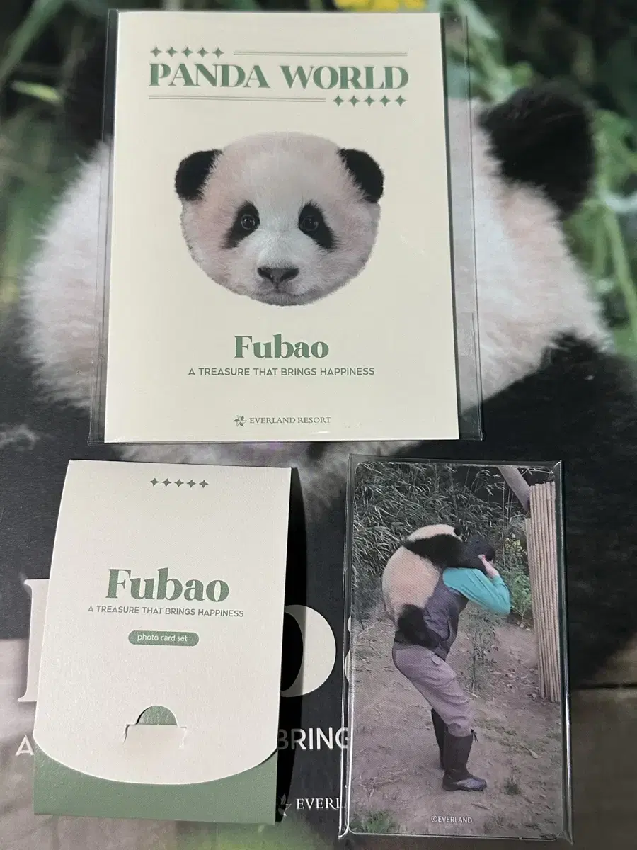 Fubao ID card seasons greetings photocard Seasonsphoca in bulk