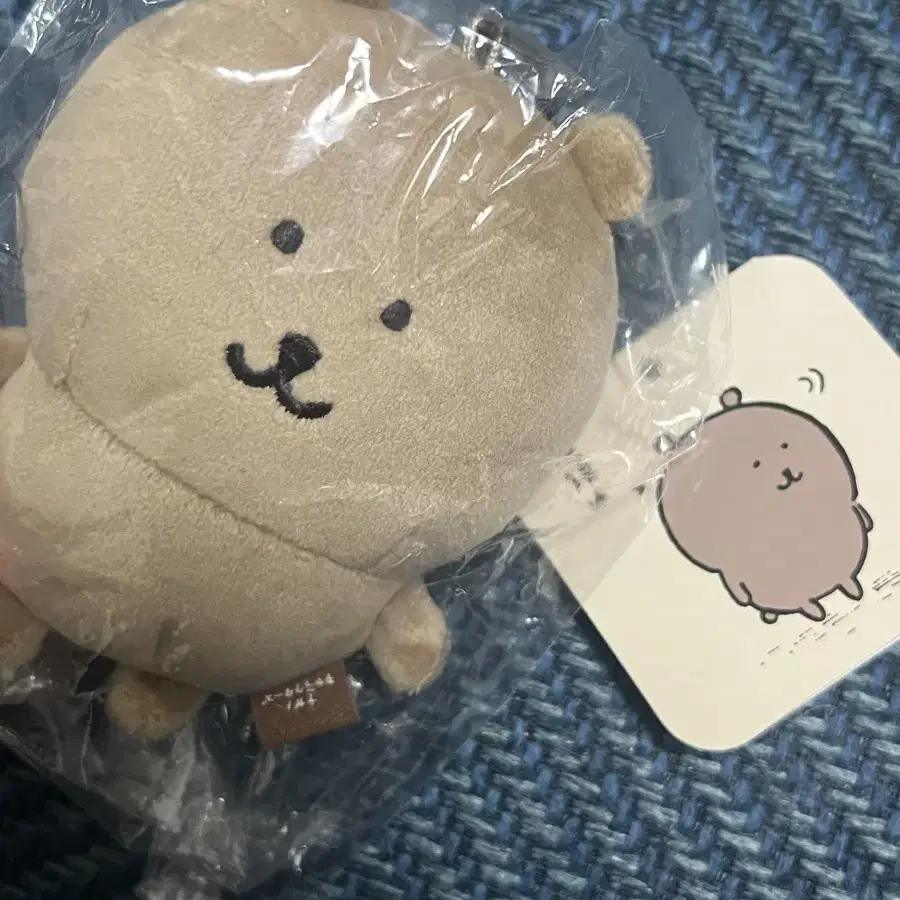 태닝 농담곰