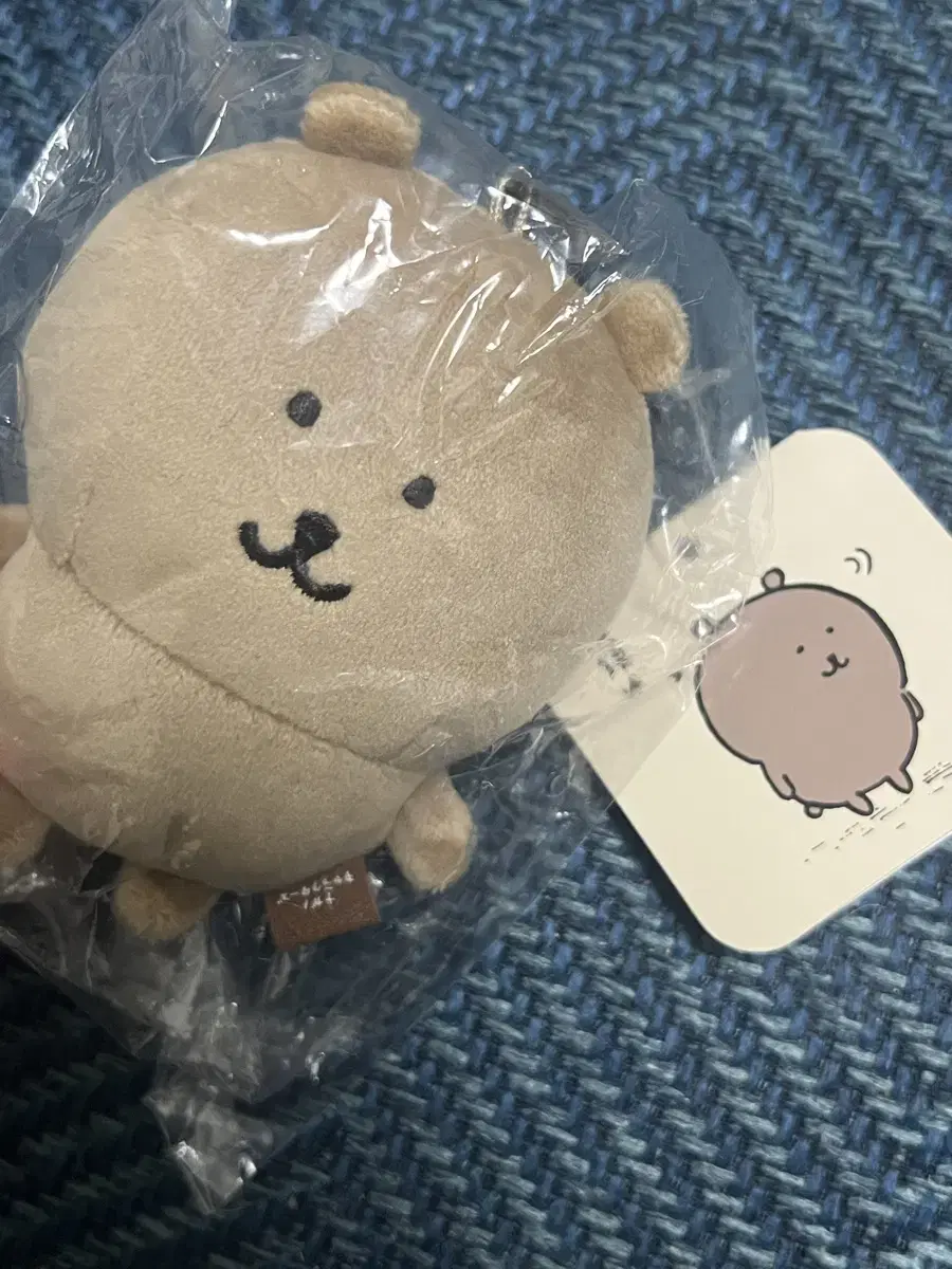 태닝 농담곰