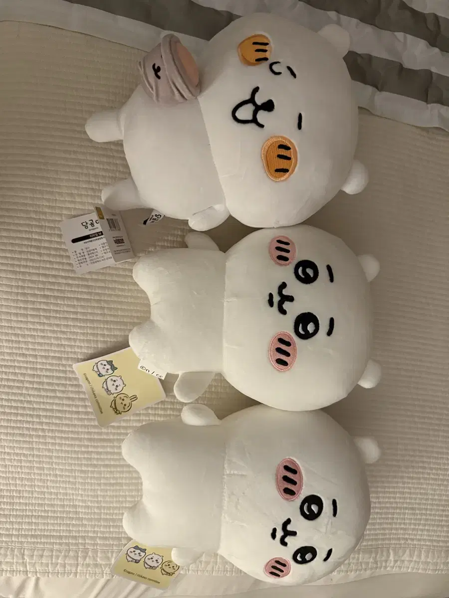 농담곰 치이카와 25cm 봉제인형 정품 라이센스 새상품