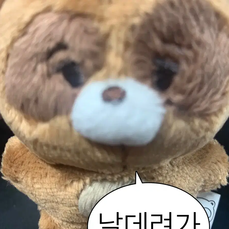 더보이즈 선우 인형 쪼구리 양도