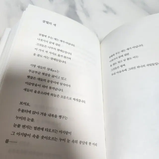 (정가25,000원)나태주 스페셜에디션 (가지말라는데 가고 싶은 길이 있