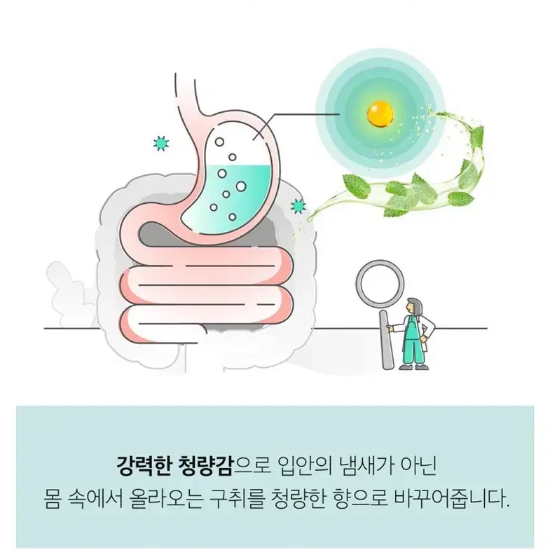 [새상품] 잇퓸 핑크 복숭아향 상쾌한 먹는향