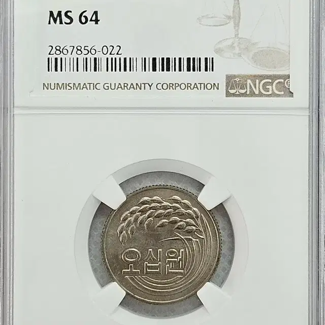 1981년 50원 MS 64등급