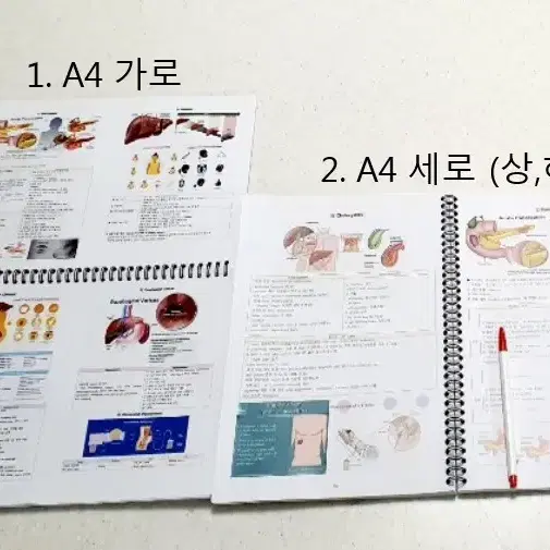 엔클맛집 엔클렉스 요약집 버전 5 엔클레시피