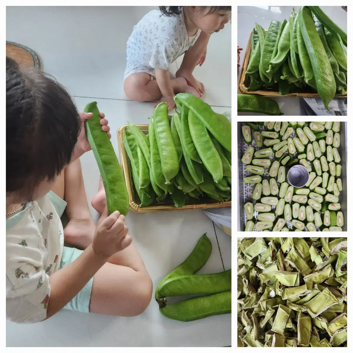 적작두콩차 판매합니다