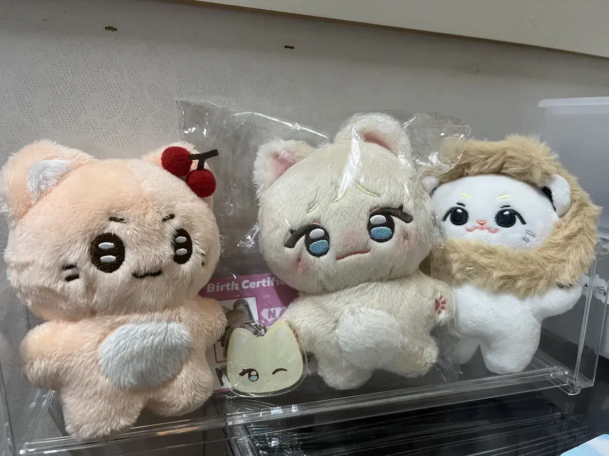 NCT yuta Sells dolls (Yoo Cheri, Eunchae, Yutlion) bulk 