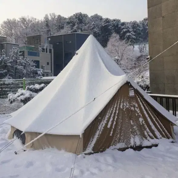 듀랑고 롯지16 면 벨텐트 판매합니다