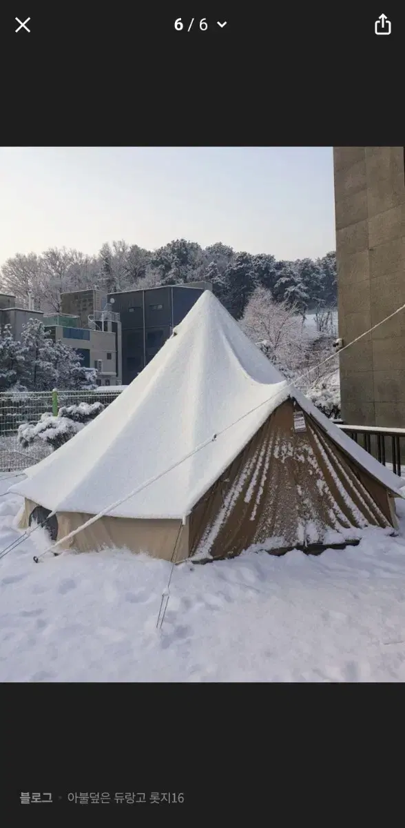 듀랑고 롯지16 면 벨텐트 판매합니다