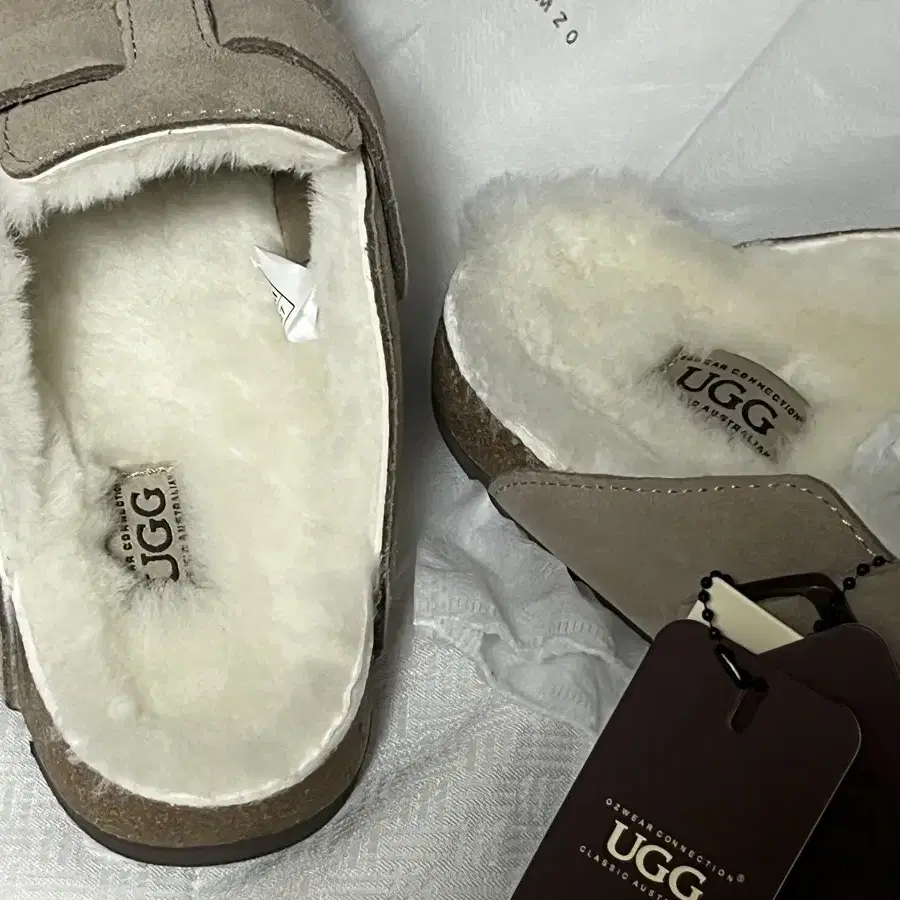 Ugg 겨울 보스턴