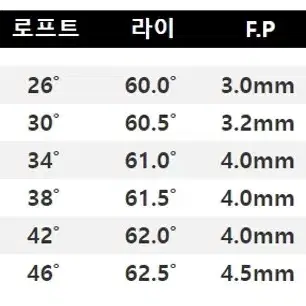 Baldo Competizion  아이언세트