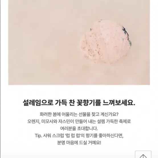 러쉬 사쿠라 벚꽃 베쓰밤 새상품