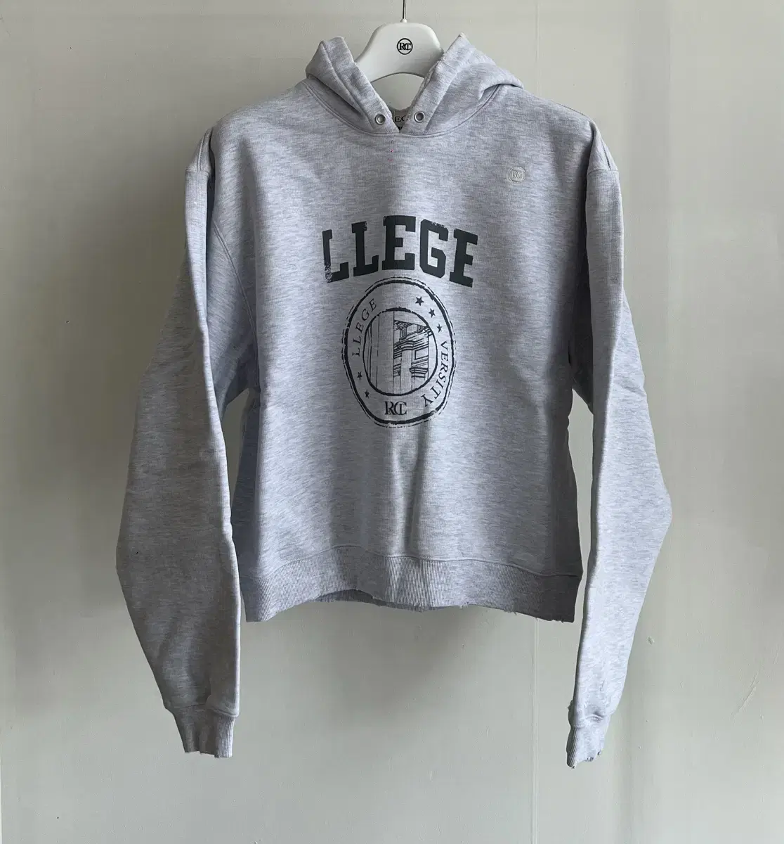 Recto unisex llege dis hoodie gray