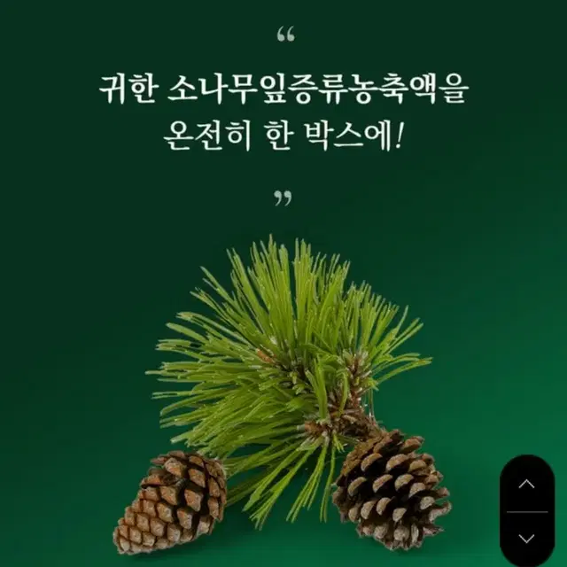 (무료배송) 송침유