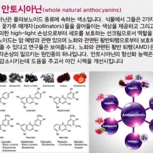 크린톡 2개 보나겐 1개