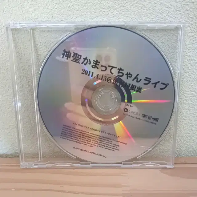 신세이카맛테쨩 라이브 DVD 디비디 디브이디 CD 씨디 특전 굿즈