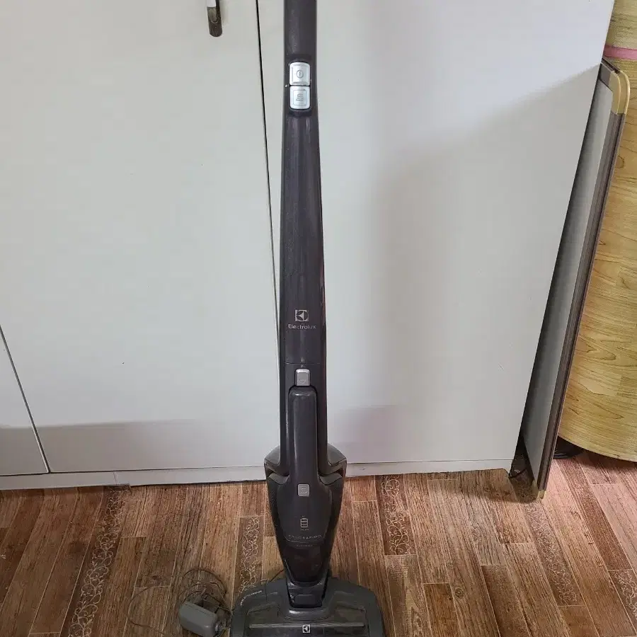 일렉트로룩스 electrolux 무선청소기 ZB3301