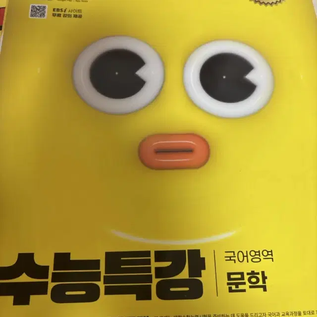 수능특강 문학