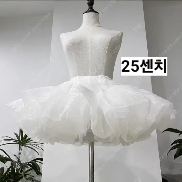 치마 튜튜 대여 25센치 40센치 50센치 코스프레