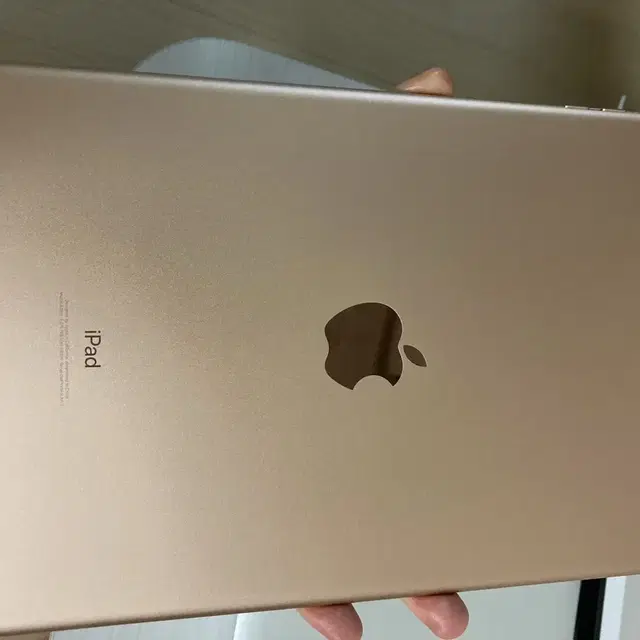 아이패드 6세대(iPad 6th) Wi-Fi 128GB Gold