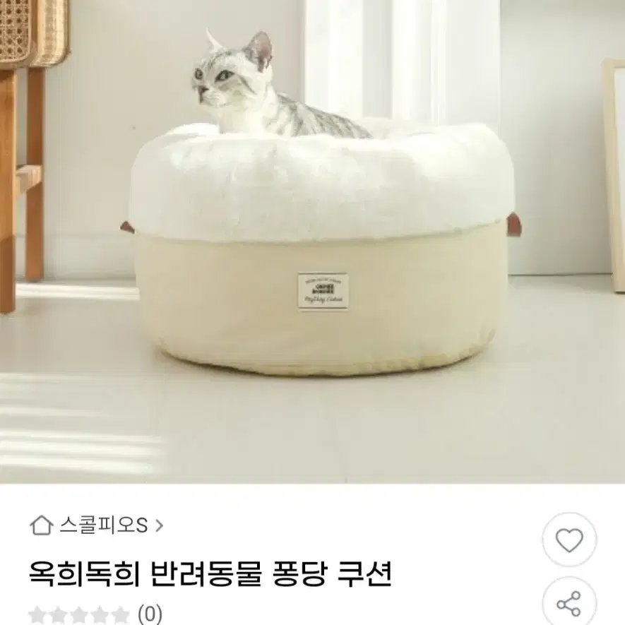 옥희독희 반려동물 퐁당 쿠션