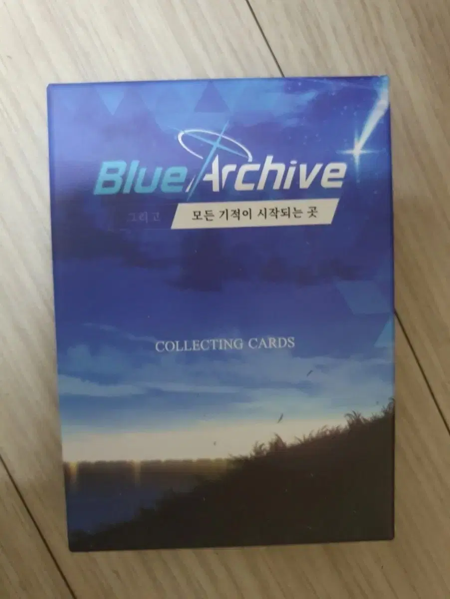 Bloo Archives Chalet Store Final Edition trading card unsealed