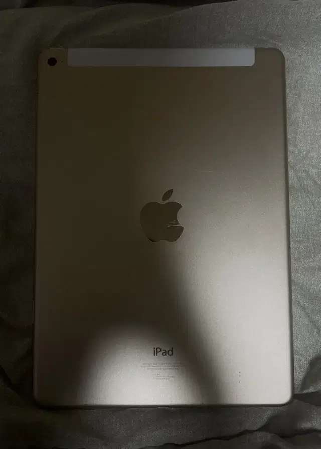 애플 아이패드 에어 2 iPad Air 2