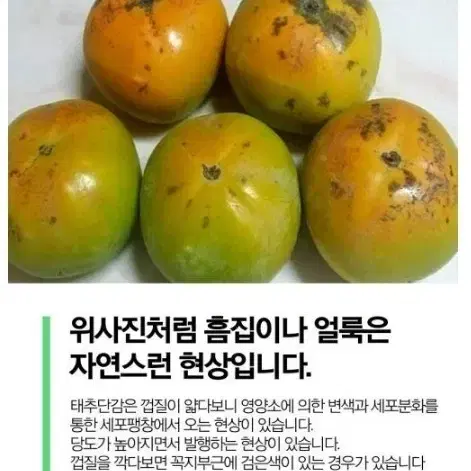 단감