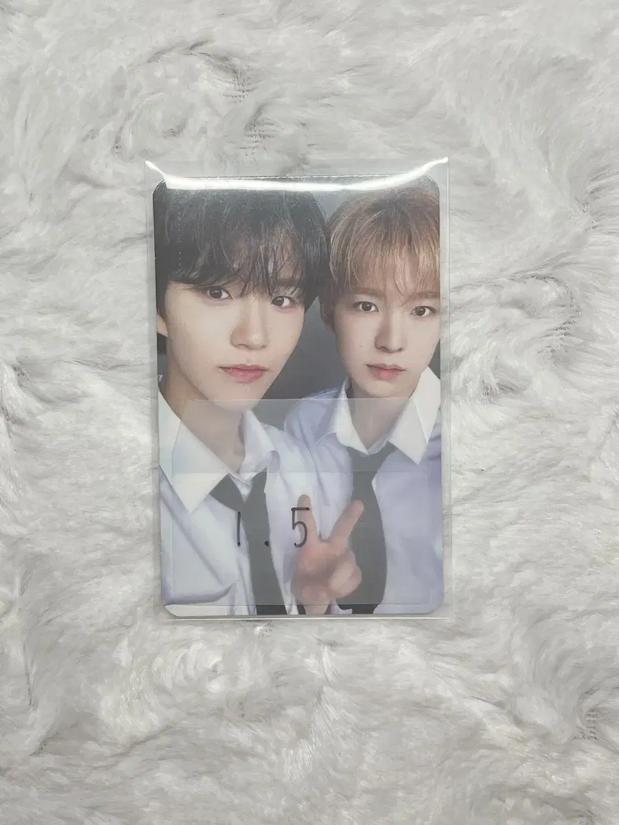 NCT wish Jaehee U. Unit photocard Fortune Selpo