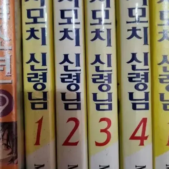 모치모치 신령님1-4완