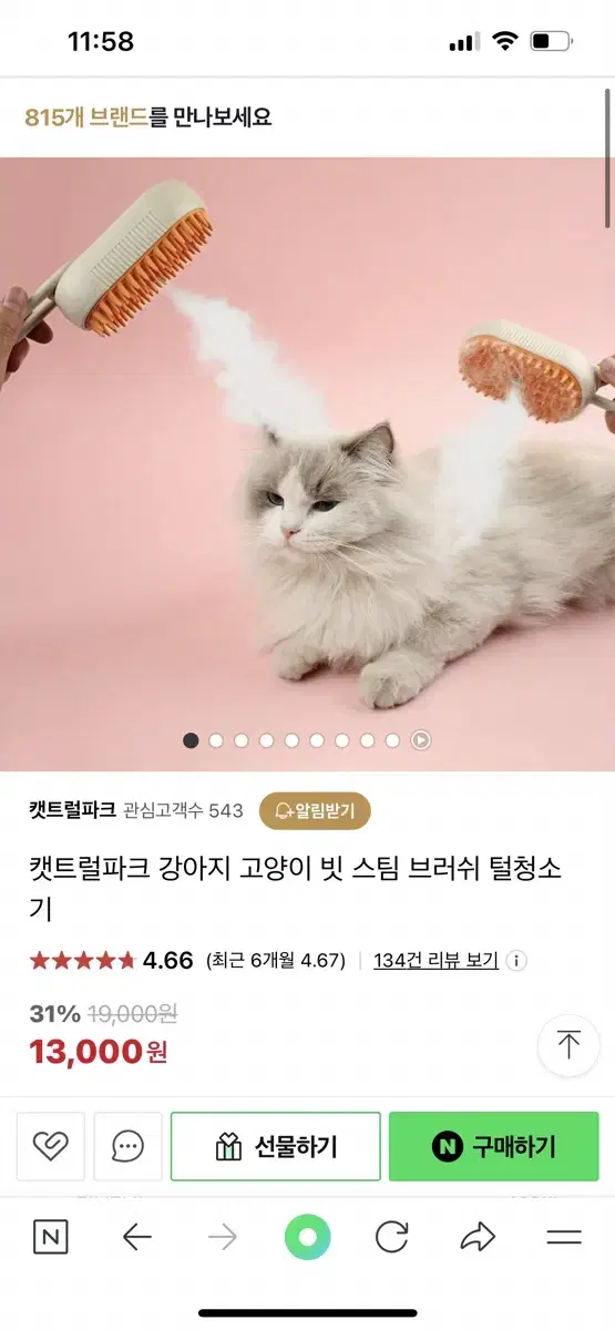 캣트럴파크 강아지 고양이 빗 스팀 브러쉬 털청소기