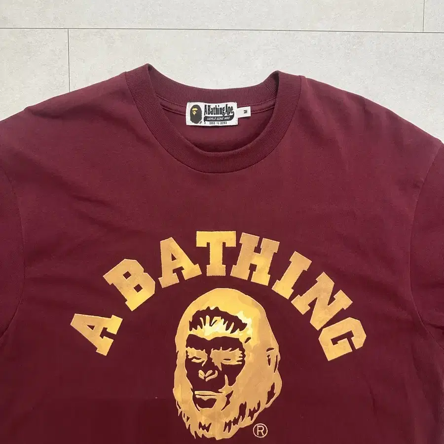 BAPE COLLEGE GRAPHIC TEE 베이프 티셔츠