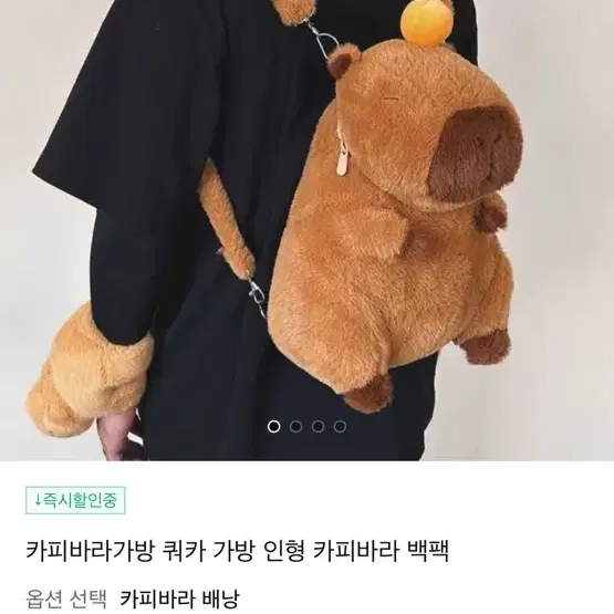 카피바라 인형 가방