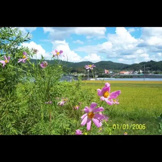 뉴진스 디카 코닥 이지쉐어 Kodak easyshare c875